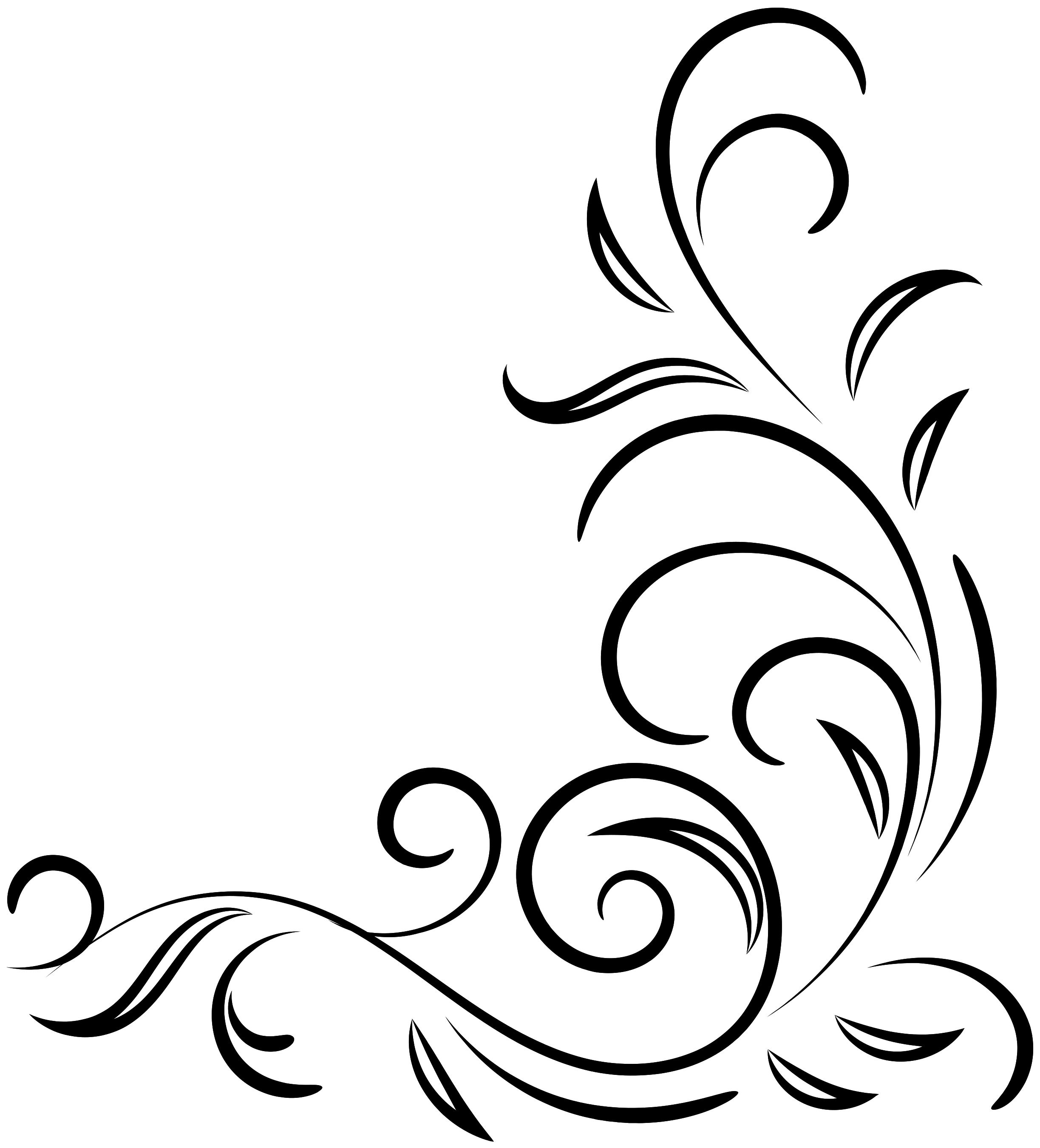 flower-floral-png.png